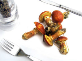 Sagra delle tacchie ai funghi porcini 1332 0 Sagra delle tacchie ai funghi porcini